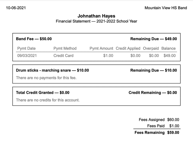 Financial Statement - Preview Financial Statement - Preview